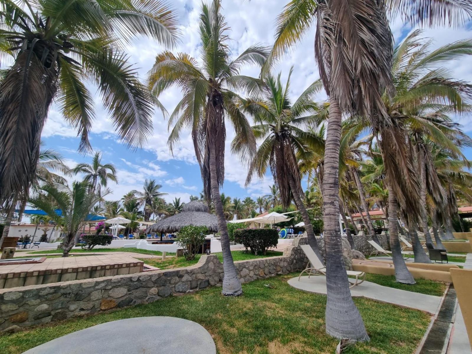 Buena Vista Oceanfront & Hot Springs Resort บูเอนาวิสตา ภายนอก รูปภาพ